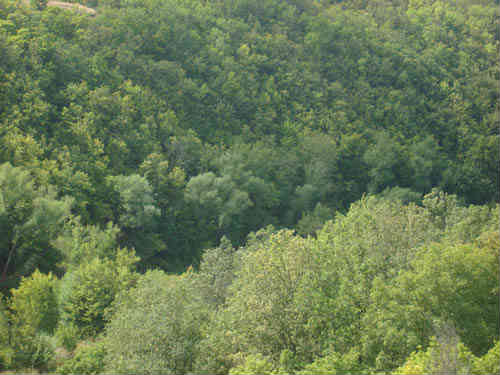 Вид с Воргольских скал